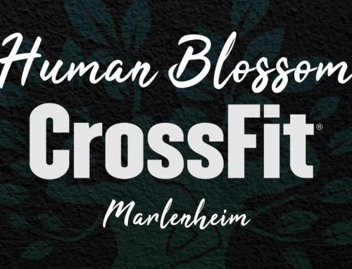 Human Blossom Marlenheim : la nouvelle salle de sport qui va révolutionner votre entraînement entre Strasbourg et Molsheim